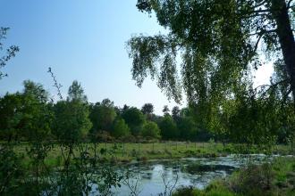 Nature Reserves | Yorkshire Wildlife Trust